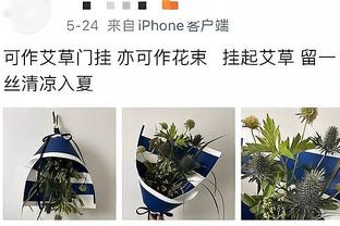 杰伦-布朗谈末节17分：我就是做球队需要我做的事情